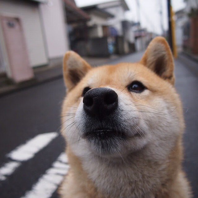 _趣味垂钓大赛：运动也可休闲娱乐_，趣味钓鱼游戏规则图片