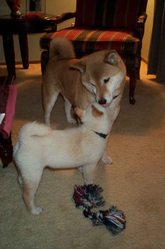 _趣味垂钓大赛：运动也可休闲娱乐_，趣味钓鱼游戏规则图片