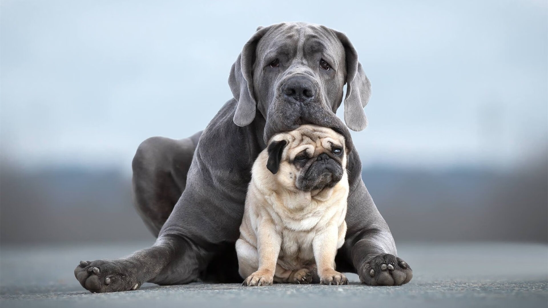 “悬念终结!最后一局瞬间锁定胜局,比赛精彩绝伦”,最后一场决斗