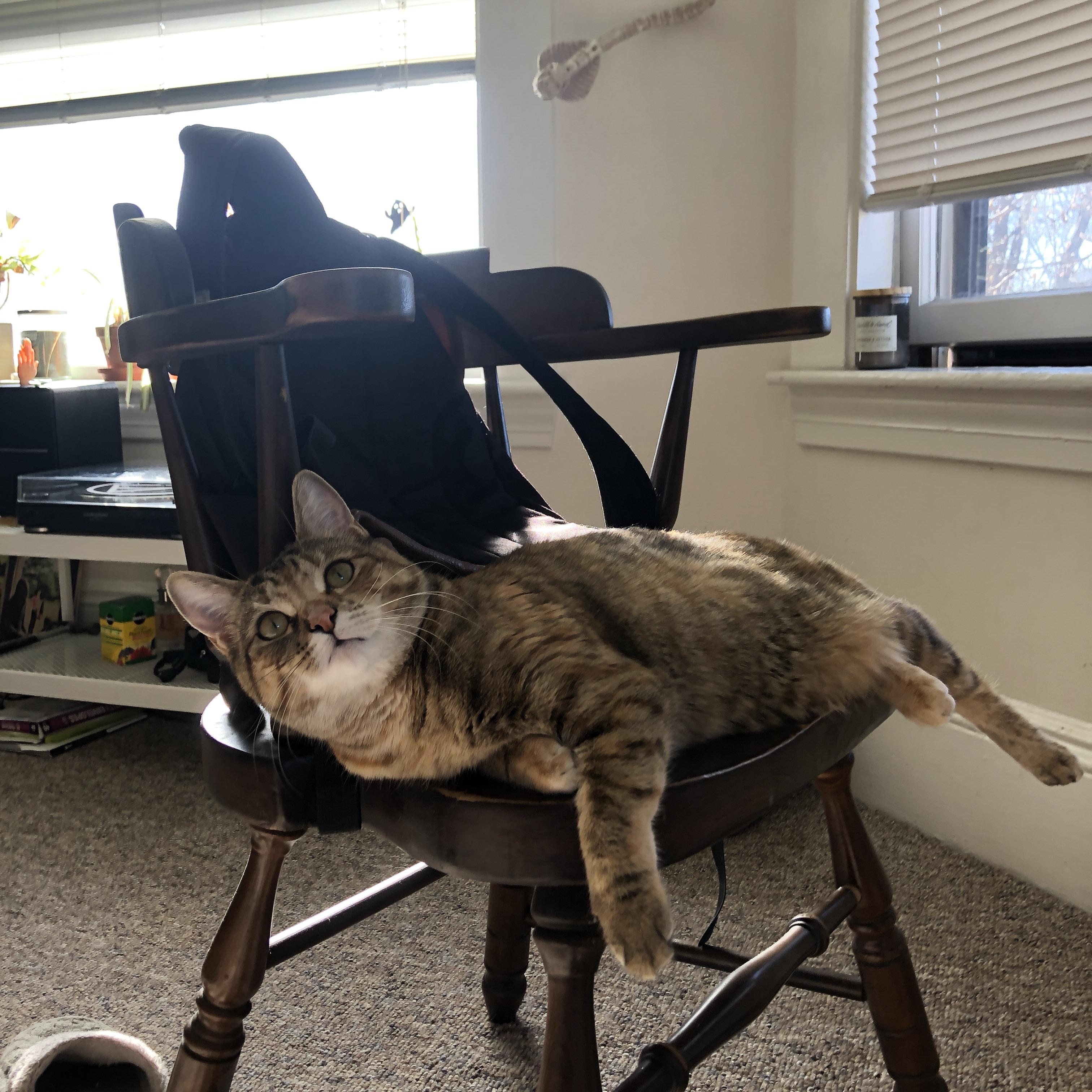 【变局之中】奥沙利文如何灵活调整战术应对对手？，奥沙利文有多强