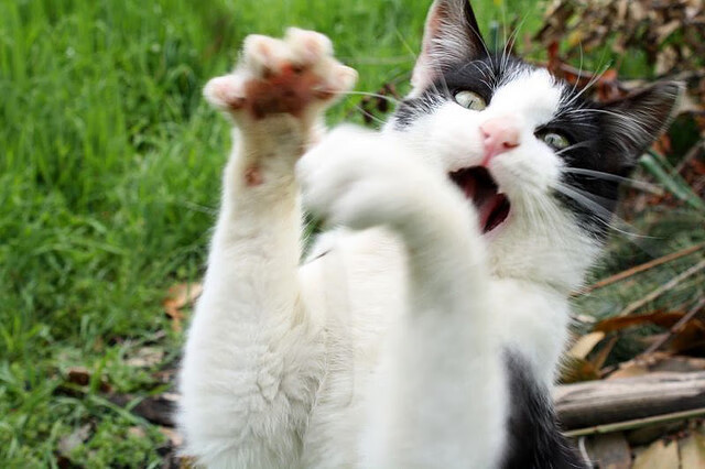 【比赛亮点】奥沙利文:最快破局纪录在哪里?,奥沙利文最牛的比赛