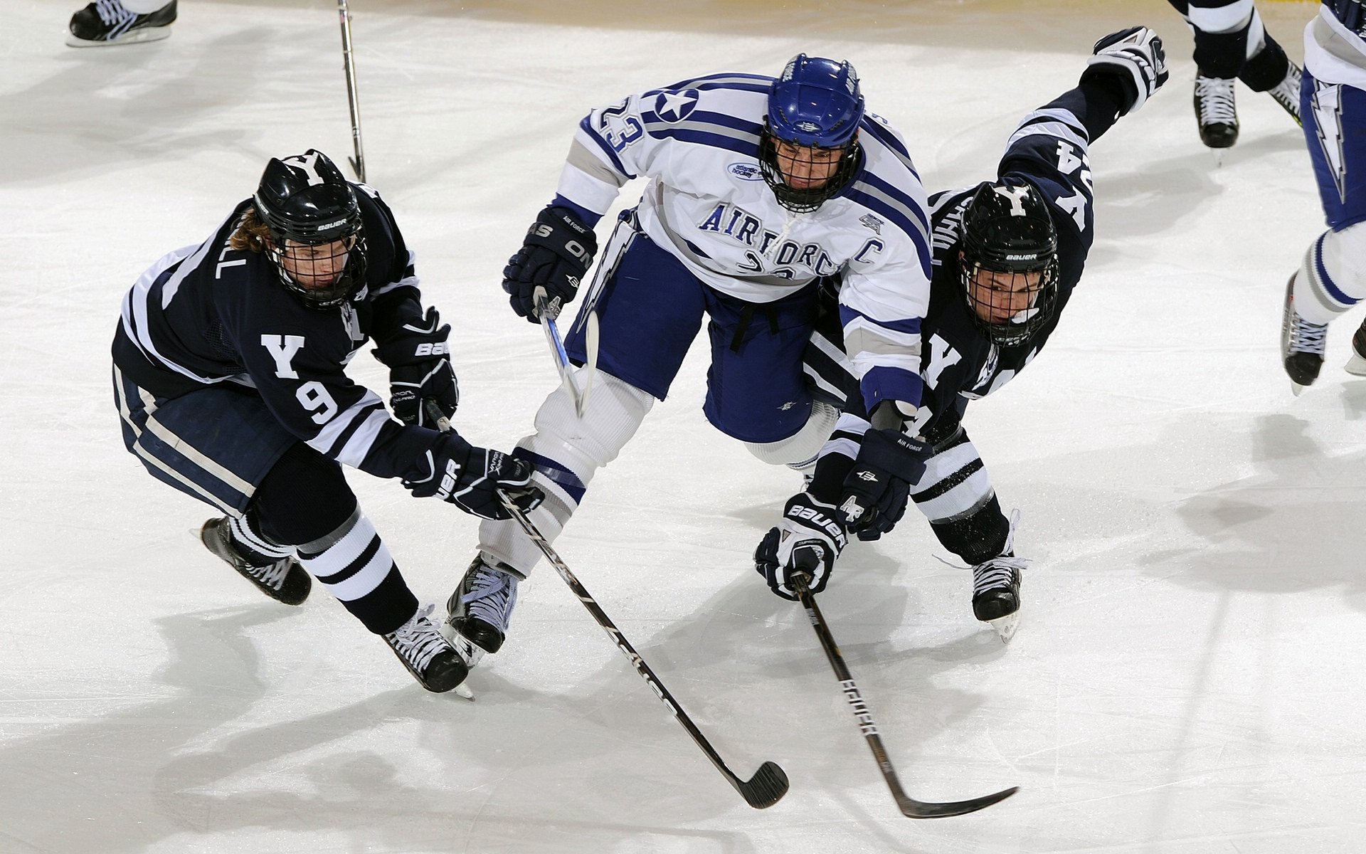 “安赫尔·巴尔博萨的全能进攻与防守精度，推动美洲狮队实现战术上的高度整合”